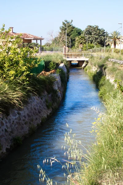 Course Aljufia Irrigation Channel Irrigates Murcian Orchard Abundant Water — Stok fotoğraf