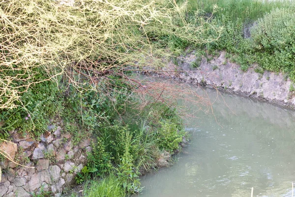 Course Aljufia Irrigation Channel Irrigates Murcian Orchard Abundant Water — Zdjęcie stockowe
