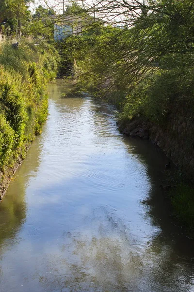 Course Aljufia Irrigation Channel Irrigates Murcian Orchard Abundant Water — Zdjęcie stockowe