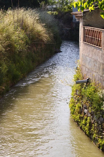 Curso Canal Irrigação Aljufia Que Irriga Pomar Múrcio Com Água — Fotografia de Stock
