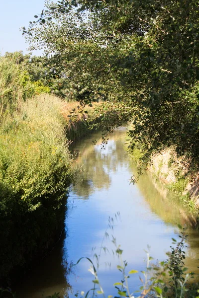 Murcia bahçesini bol suyla sulayan Aljufia sulama kanalı.
