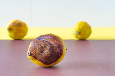 Rotten lemon that can no longer give flavor and is only good for throwing away