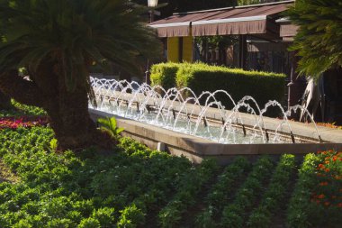 Murcia 'nın halka açık parkında Glorieta adında güzel bir gün batımı.