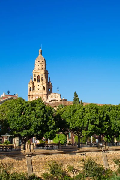 Belo Panorama Torre Catedral Múrcia Fachada Câmara Municipal Dia Ensolarado — Fotografia de Stock