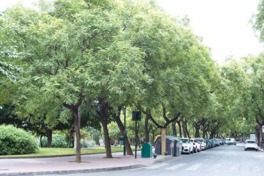 Soğuk bir sonbahar gününde yürümek için güzel ve yapraklı bir bahçe.