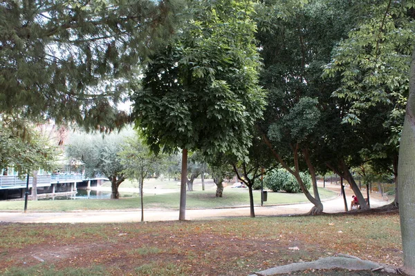 Jardin Agréable Verdoyant Pour Marcher Par Une Froide Journée Automne — Photo