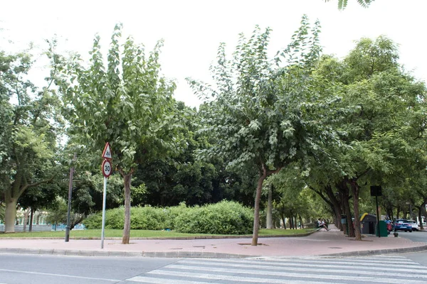 Jardim Agradável Frondoso Para Caminhar Dia Frio Outono — Fotografia de Stock