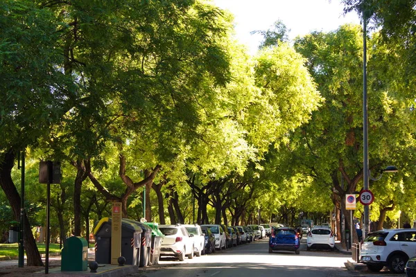 Üppiger Urbaner Garten Zentrum Murcias Namens Jardn Seda Damit Die — Stockfoto