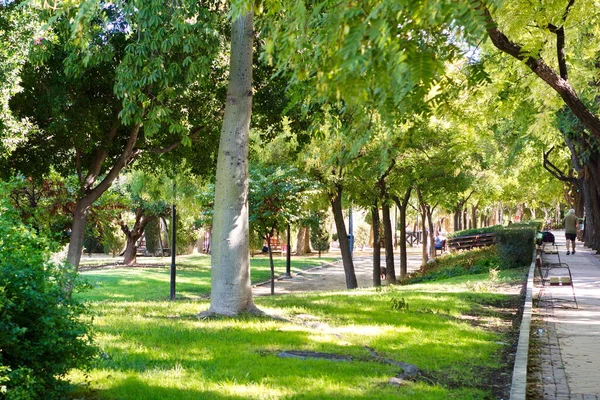 Jardim Urbano Exuberante Centro Múrcia Chamado Jardn Seda Para Que — Fotografia de Stock