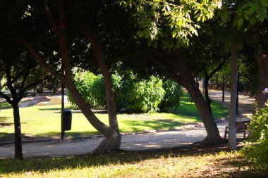 Murcia 'nın merkezinde Jardn de la Seda adında coşkulu bir şehir bahçesi var. Böylece vatandaşlar açık havanın tadını çıkarabilir ve yürüyebilirler.