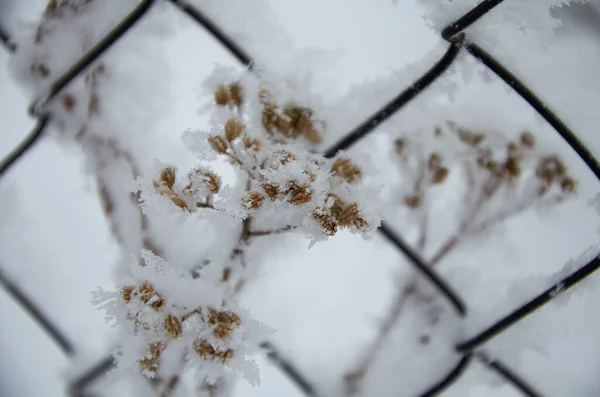 Aspirazione Impianto Neve — Foto Stock