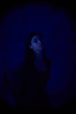 The girl on the horse in the dark. High quality photo