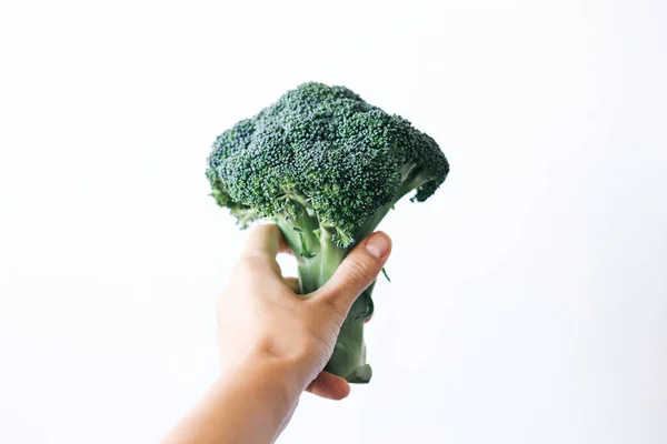Fresh green head of broccoli cabbage in hand on a white background — Foto de Stock