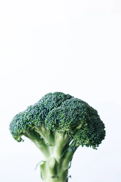 Fresh green head of broccoli cabbage in hand on a white background — Foto Stock