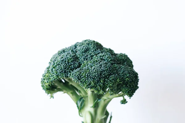 Fresh green head of broccoli cabbage in hand on a white background — Foto Stock