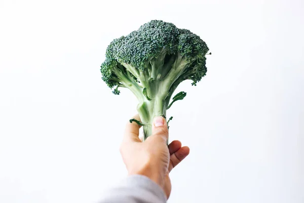 Fresh green head of broccoli cabbage in hand on a white background — Foto de Stock