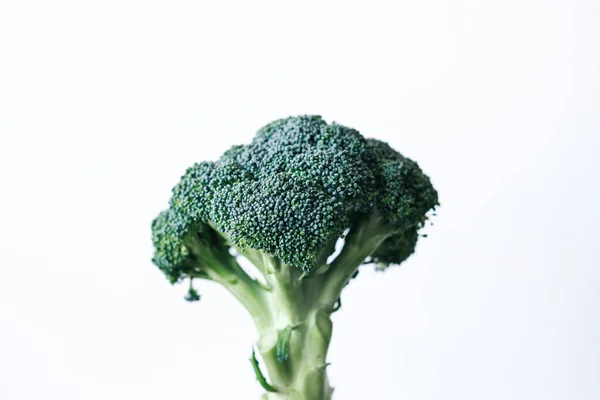 Fresh green head of broccoli cabbage in hand on a white background — Stok Foto