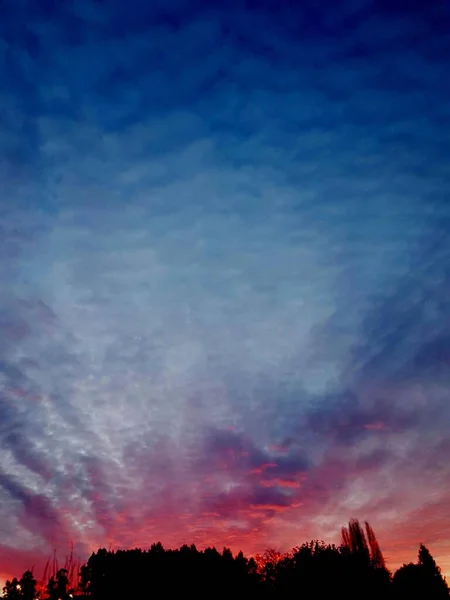 夕阳西下 天空乌云密布 蓝云密布 森林轮廓轮廓清晰 — 图库照片