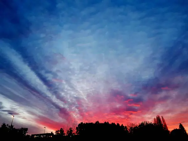 Cielo Nublado Con Nubes Azules Rojas Atardecer Silueta Del Bosque — Foto de Stock