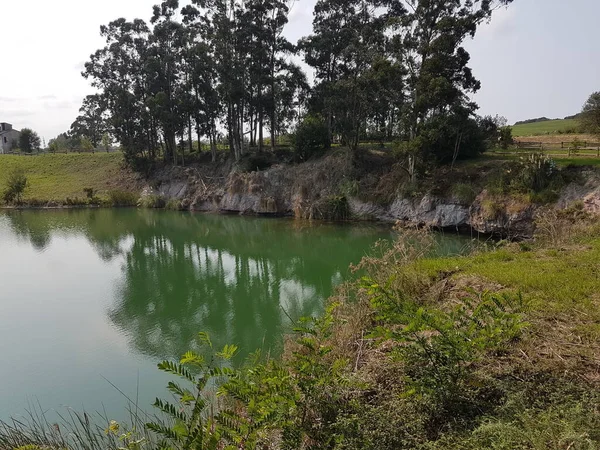 森林中央的湖 前景中的许多树叶和背景中的桉树 — 图库照片