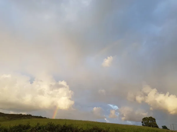 초원에서 구름낀 하늘을 가로지르는 무지개 — 스톡 사진