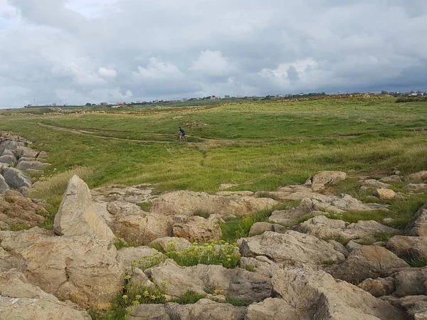 Kerel Doet Oefeningen Met Een Mountainbike Een Pad — Stockfoto