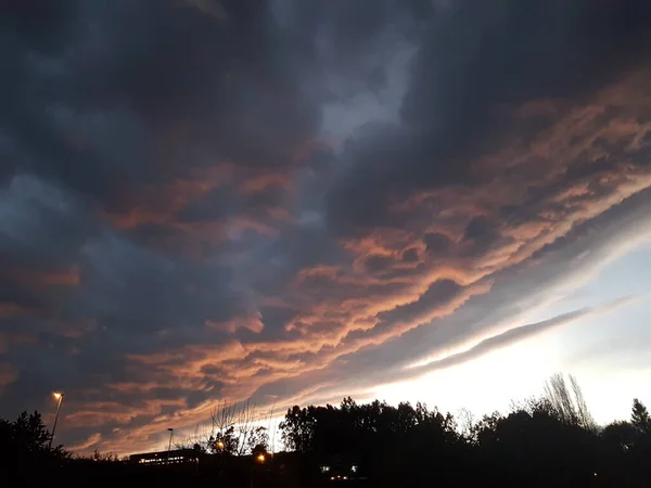 Σύννεφα Καταιγίδας Στο Ηλιοβασίλεμα Σκιαγραφία Δένδρων — Φωτογραφία Αρχείου