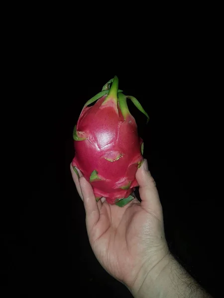 Drachenfrucht Der Hand Mit Schwarzem Hintergrund — Stockfoto