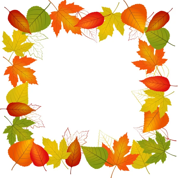 Feuille vectorielle d'automne bordure — Image vectorielle