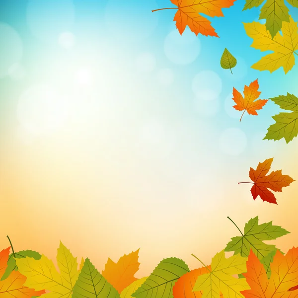 Autumn background — Stock Vector