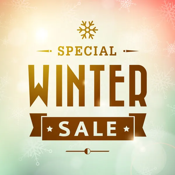 Winter special sale vintage vector typography poster — Stock Vector