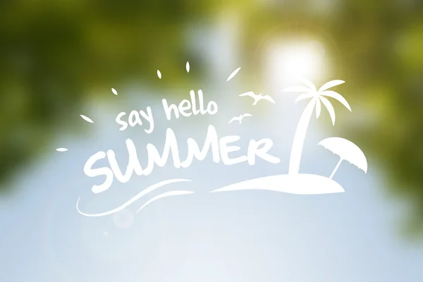 Say hello summer vector poster — ストックベクタ