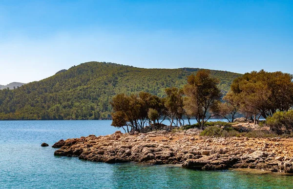 Nature Aegean Coast Turkey — Stock Photo, Image