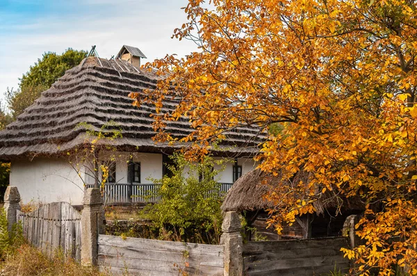 Старий Сільський Будинок Тлі Осінньої Природи — стокове фото