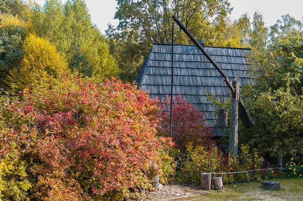 Old rural house on the background of autumn nature.