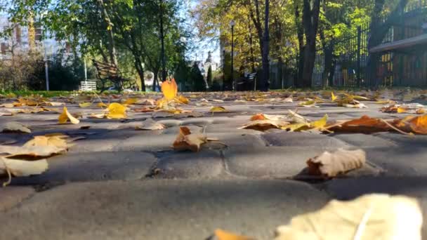 Πεσμένα Φθινοπωρινά Φύλλα Στο Πεζοδρόμιο Δρόμος — Αρχείο Βίντεο