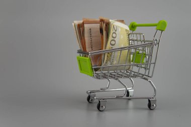 euro banknotes in supermarket trolley on gray background