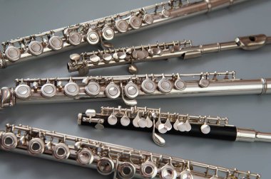 Large and small flutes are spread out on a gray surface