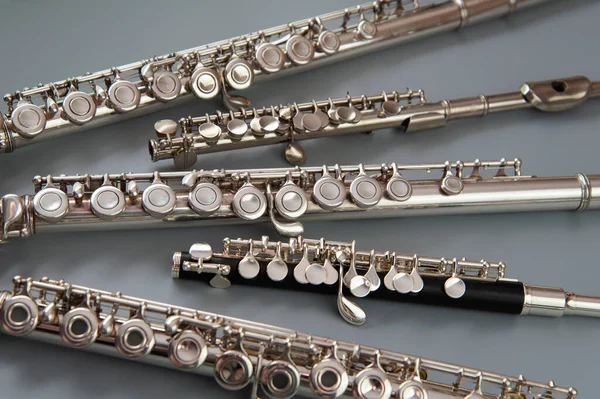 Large Small Flutes Spread Out Gray Surface — Stock Fotó