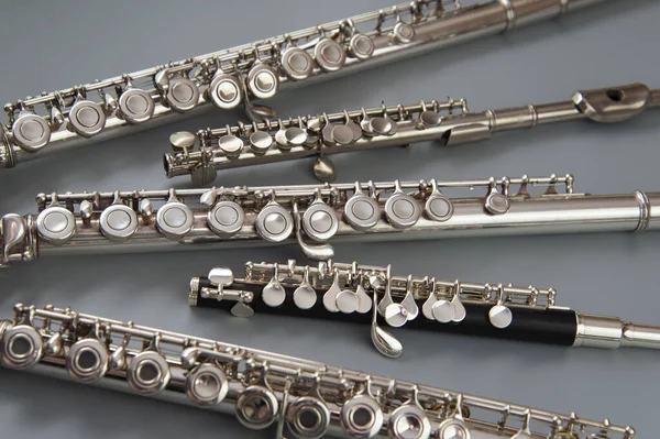 Large Small Flutes Spread Out Gray Surface — 스톡 사진