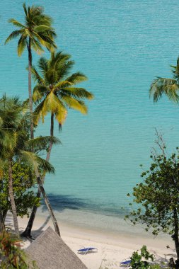 şezlonglar moorea Beach