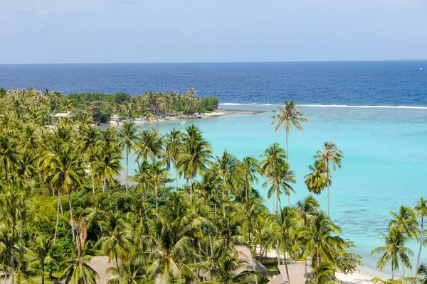 Pláž v moorea s palmami — Stock fotografie