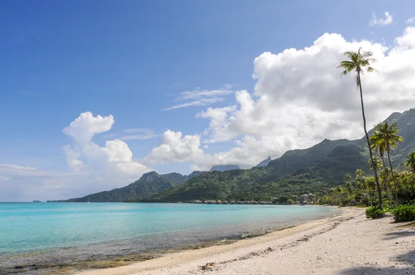 LONELY BEACH IN MOOREA — Stock Photo, Image