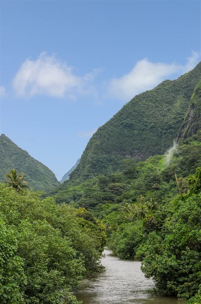 Tahitian River — Stock Photo, Image
