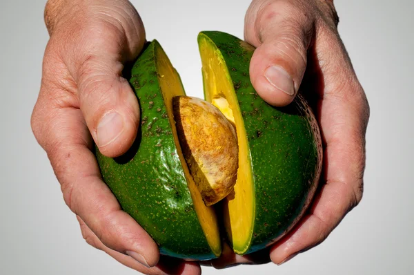 Hans met avocado — Stockfoto