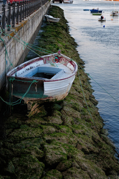Boat and low tide