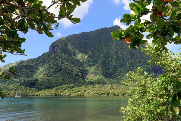 Zatoka we wnętrzu wyspy moorea — Zdjęcie stockowe