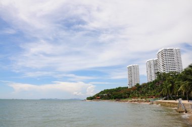 Beach Otel'de palmiye ağacı