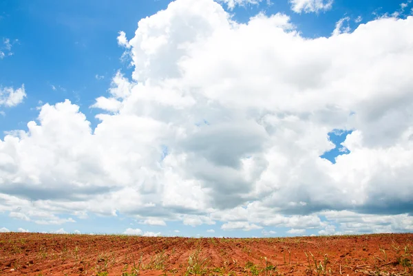 Paisaje rural de tierras agrícolas desnudas con un hermoso cielo por encima —  Fotos de Stock