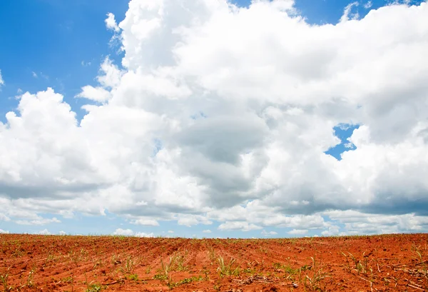 Paisaje rural de tierras agrícolas desnudas con un hermoso cielo por encima —  Fotos de Stock